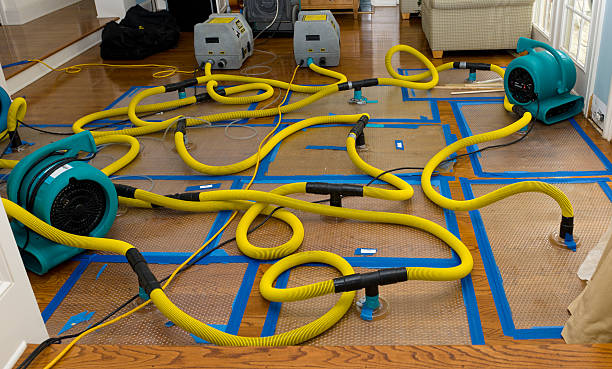 Professional Crawl Space Water Removal technician working in Jay, FL